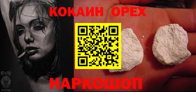 бошки Кингисепп
