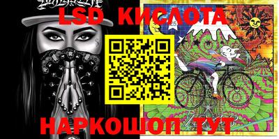 бошки Кингисепп