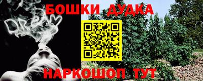 бошки Кингисепп