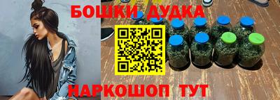 бошки Кингисепп