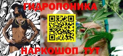 стафф Кинель