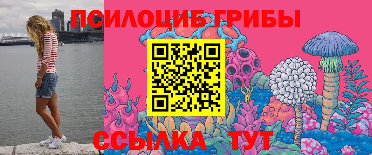 Галлюциногенные грибы прущие грибы Хабаровск
