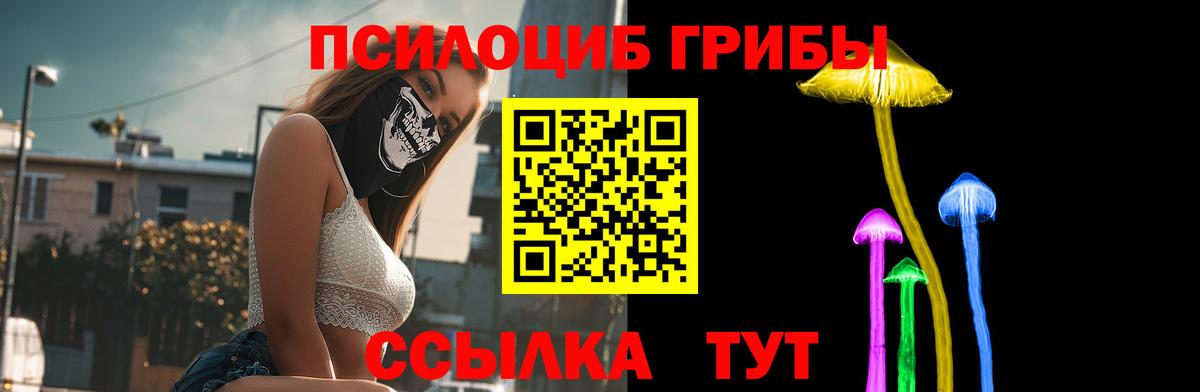 Хабаровск  Псилоцибиновые грибы Psilocybe  Вход с VPN 